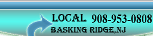 Adams limo and car service phone number 973-953-0808 for basking ridge nj
