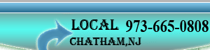 Adams limo phone number for chatham nj