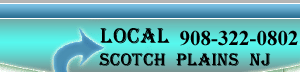 limo service phone number Scotch Plains nj