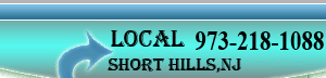 Adams limo phone number 973-218-1088 for short hills nj