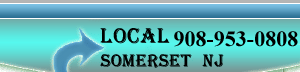 limo service phone number Somerset nj