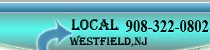 Adams limo phone number 908-322-0802 for Westfield nj